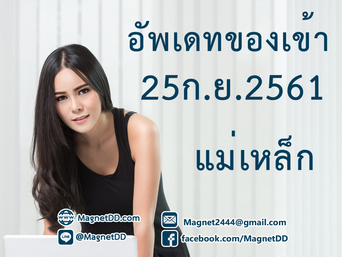 แม่เหล็กแรงสูง ราคา